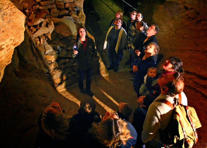 Guests looking up on tour