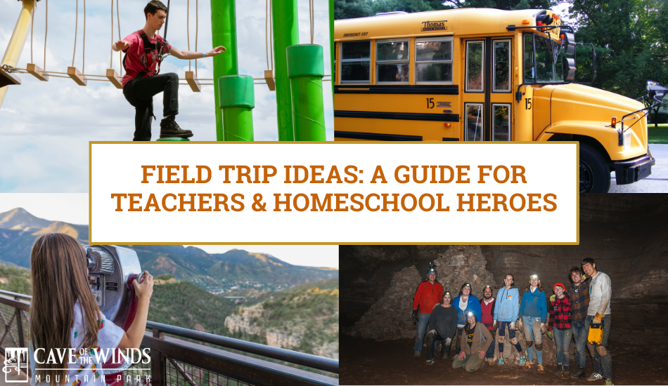 Cover image for blog about homeschool and field trip ideas