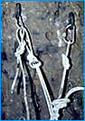 knots in Siberia